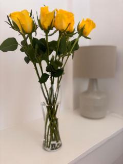 Cosy terrace within walking distance from York - 1