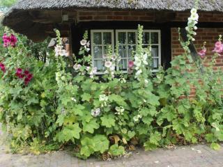 Ole Schün Dannau - 7