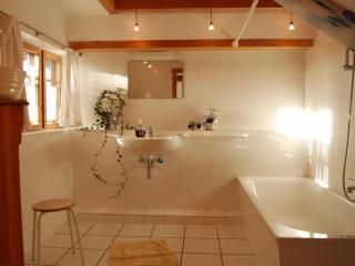 Ole Schün Dannau - 1