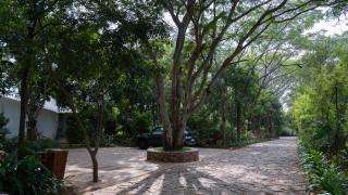Trisara Boutique Stay - Mysore - 1