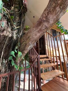 Treehouse-Apartment for 3, 2bedrooms, KBB - 7