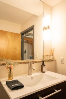 Stylish Loft | Shockoe Bottom | Walk to Canal - 4