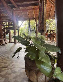 Beautiful house in Guasacate 100 meters from the sea - 6