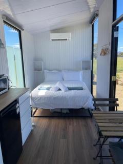 Billy Button by Tiny Away - 2