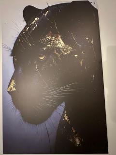 villa luxe moderne - 2