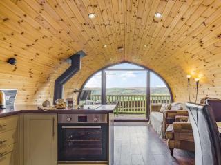 The Pod overlooking Dartmoor - 5