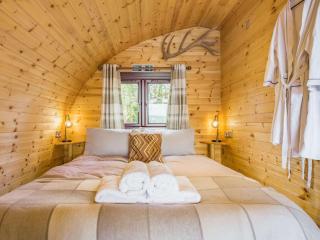 The Pod overlooking Dartmoor - 2