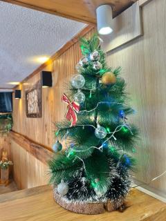 Guest House Rila - 6