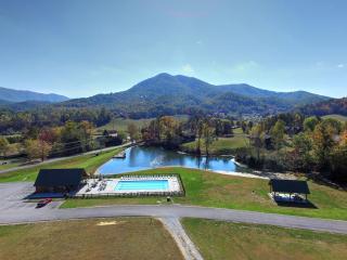 Secluded Cubs Den Retreat in Wears Valley Sleeps 10 Hot Tub Pool Table Dog Friendly - 4