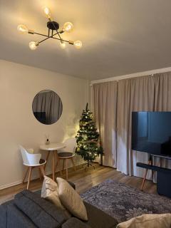 Peaceful place in Lapland! - 9