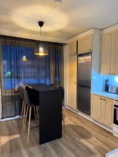 Peaceful place in Lapland! - 1