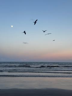 Apartamento con vista al mar - 0