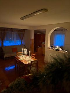 Cabana Oana 5-bedrooms chalet - Arad - 4