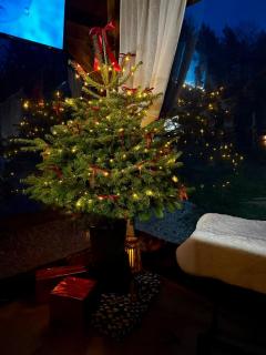 Cabana Oana 5-bedrooms chalet - Arad - 6