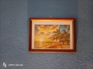 VISiT CASTELO BRANCO - 6