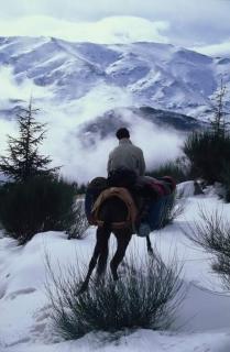 Belgium Camp & Rooms jbilat Marrakesh 10PAX - 3