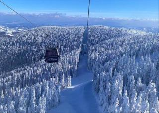 Apartman Foka Spa - 2