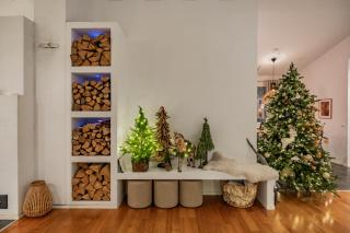 Arctic Circle Luxury House - next to Santa's Village - 3