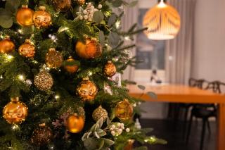 Arctic Circle Luxury House - next to Santa's Village - 1