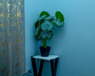 Mimykibz Homestays - 3