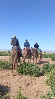 Daraa Valley House - M’hamid El Ghizlane - 1