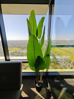 Modern Comfort Stay - Near Stadiums Green Spaces - 6