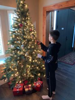 Corkscrew Willow Estate - 5