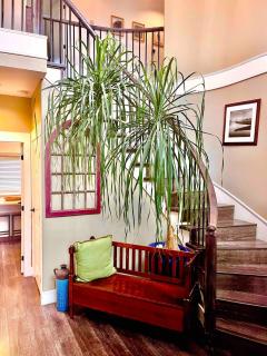 Corkscrew Willow Estate - 8