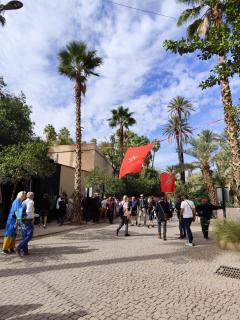 Appartement spacieux avec vue sur le Jardin Majorelle - 9