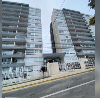 Monkey Guest Apartment - 8