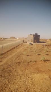 Studio La Petite Campagne - 7