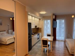 Apartament Garbary 84 parking free - 4