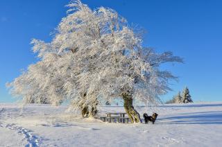 Apartmaji nad potokom - 4