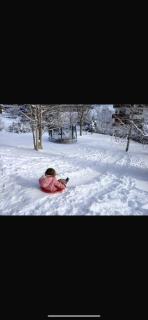 Ferienhaus Albmatte-Sauna im Haus-gemütliche Apartments - 9