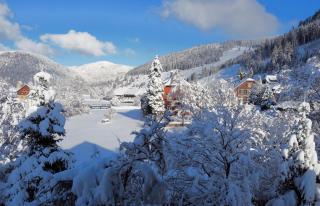 Ferienhaus Albmatte-Sauna im Haus-gemütliche Apartments - 2