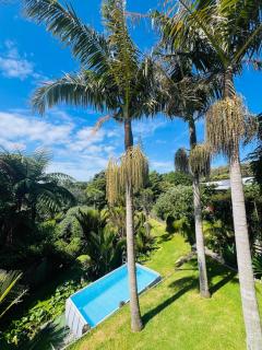 Tropical Oasis in Oakura - 6