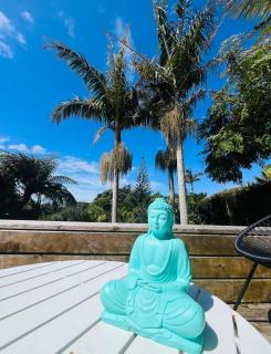 Tropical Oasis in Oakura - 5