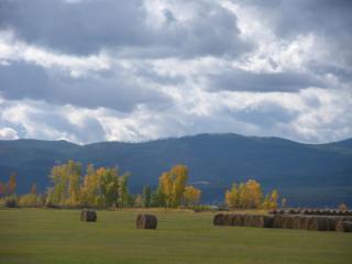 Laughing Horse Lodge - 8