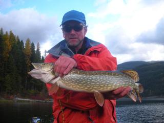 Laughing Horse Lodge - 9