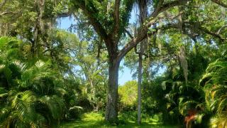 Florida Bungalow - 8
