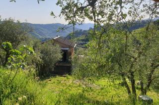 fienile di frida - 9