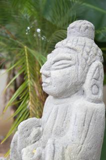 Tekana Boutique Jungle Retreat - 1