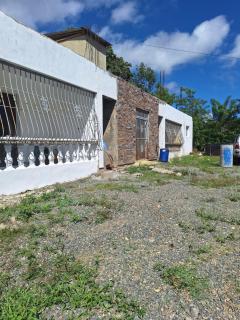 Caribbean Corner - 9