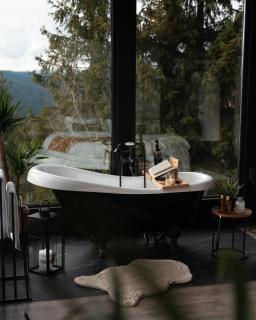 Noma Cabin - 4