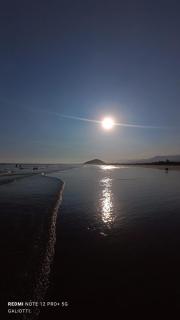 House with Atlantic Forest in the background - Saíra Sete Cores - Bertioga - 7