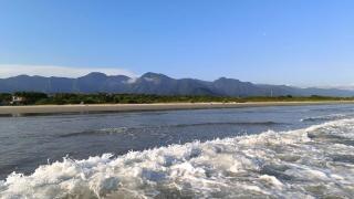 House with Atlantic Forest in the background - Saíra Sete Cores - Bertioga - 1