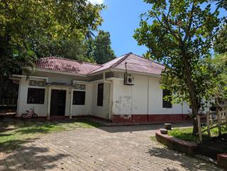 Marvella dickwella - 1