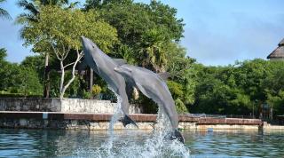 Departamento cerca del mar en Puerto Aventuras #104 - 0