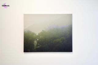 MMRent Nature Room - 3