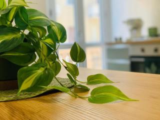 Two-room apartment 8 minutes from the subway - 6